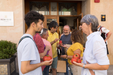 XV Concurso de Tomate Feo de Tudela