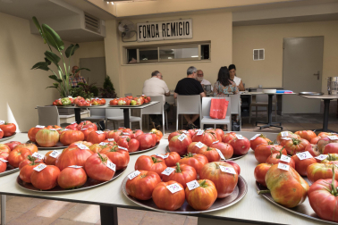 XV Concurso de Tomate Feo de Tudela