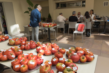 XV Concurso de Tomate Feo de Tudela