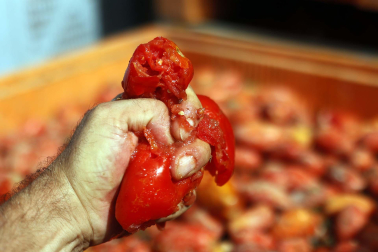 Fotos de la Tomatina de Buñol 2022.