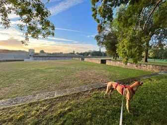 Vuelta del Castillo.