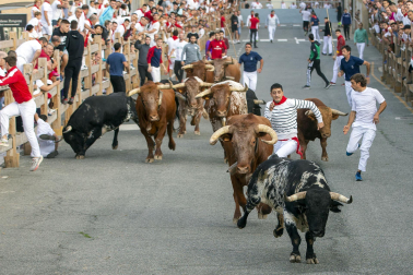 Primer encierro y vaquillas en Sangüesa.