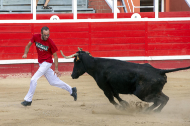 Primer encierro y vaquillas en Sangüesa.