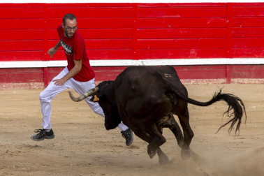 Primer encierro y vaquillas en Sangüesa.