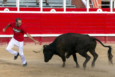 Primer encierro y vaquillas en Sangüesa.