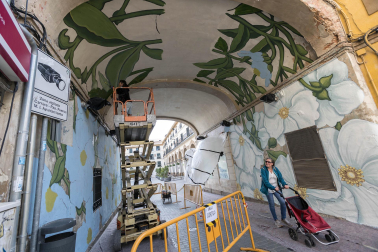 CALLE DOÑA MARÍA UGARTE. Los característicos motivos vegetales de la muralista gallega Doa Oa han tomado las paredes y el arco del pasaje de la calle Doña María Ugarte, uno de los accesos a la plaza de los Fueros de Tudela./