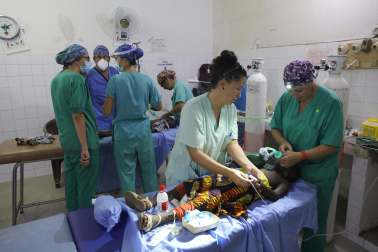 Imagen de la expedición navarra de la ONG 'Hope & Progress' en Senegal