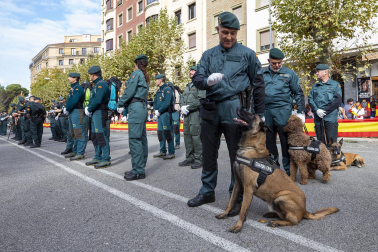 Fotos del desfile de la Guardia Civil en el día de su patrona en Pamplona.