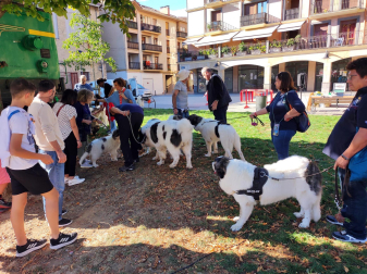 XVI Encuentro del Mastín del Pirineo