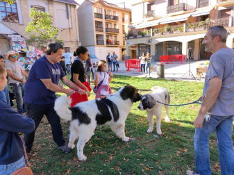 XVI Encuentro del Mastín del Pirineo