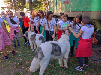 XVI Encuentro del Mastín del Pirineo