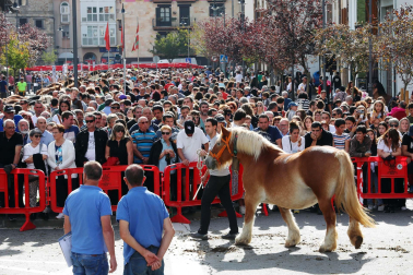 Imágenes de la Feria de Alsasua