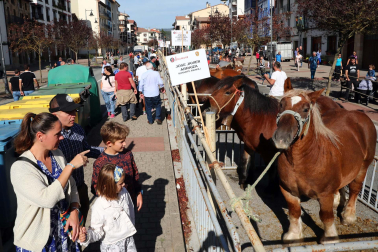 Imágenes de la Feria de Alsasua
