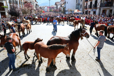 Imágenes de la Feria de Alsasua