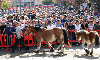 Imágenes de la Feria de Alsasua
