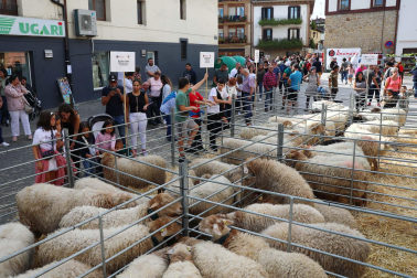 Imágenes de la Feria de Alsasua