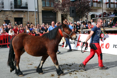 Imágenes de la Feria de Alsasua
