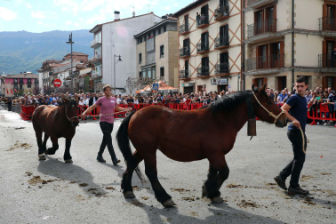 Imágenes de la Feria de Alsasua