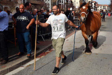 Imágenes de la Feria de Alsasua