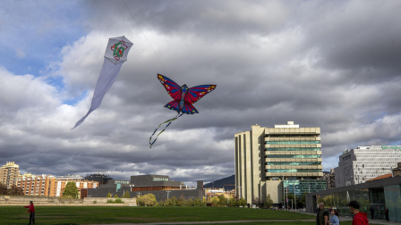 Fotos de la 8º edición del Certamen-Exhibición Solidaria de Vuelo de Cometas organizado por Asociación Navarra contra la Fibrosis Quística (FQ Navarra)