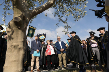 XX Capítulo General Cofradía del Aceite de Oliva de Navarra