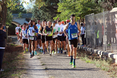 Fotos de la carrera de la Vía Verde del Tarazonica 2022./