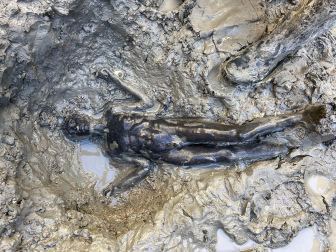 Fotos del hallazgo de 24 estatuas romanas y etruscas en las termas San Casciano dei Bagni, en Siena. /