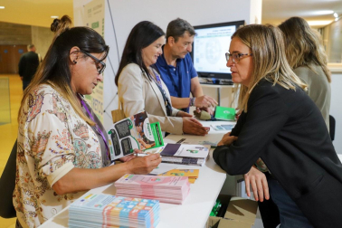 Universidad Pyme Navarra se ha organizado por el SEPE, el Servicio Navarro de Empleo – Nafar Lansare y Fundae.