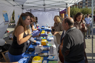 Imagen de los actos organizados por la Asociación Navarra de Diabetes (ANADI) en la plaza del Castillo de Pamplona con motivo del Día Mundial de la Diabetes.