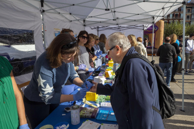 Imagen de los actos organizados por la Asociación Navarra de Diabetes (ANADI) en la plaza del Castillo de Pamplona con motivo del Día Mundial de la Diabetes.