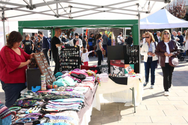 Fotos de la feria artesanal en Irurtzun.