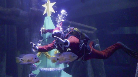 Parque de Atracciones y Acuario de Zaragoza