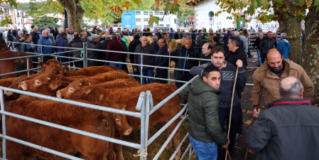 Fotos de la Feria de Santesteban 2022.