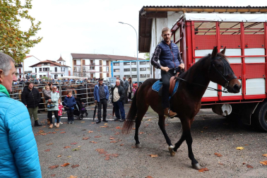 Fotos de la Feria de Santesteban 2022.