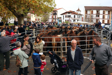 Fotos de la Feria de Santesteban 2022.