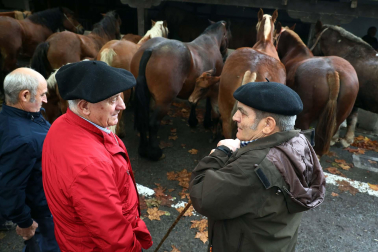 Fotos de la Feria de Santesteban 2022.