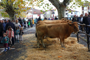 Fotos de la Feria de Santesteban 2022.