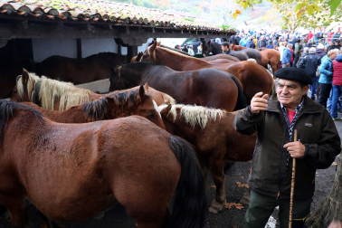 Fotos de la Feria de Santesteban 2022.