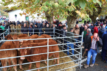 Fotos de la Feria de Santesteban 2022.