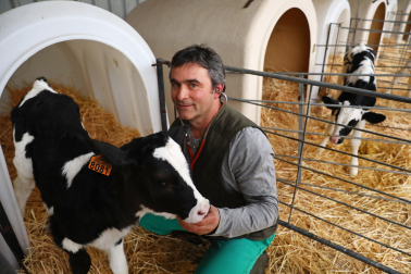 El veterinario con un ternero de pocos días en la granja de su hermano.