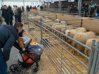 Fotos de las ferias de San Andrés de Estella.