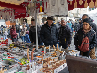 Fotos de las ferias de San Andrés de Estella.