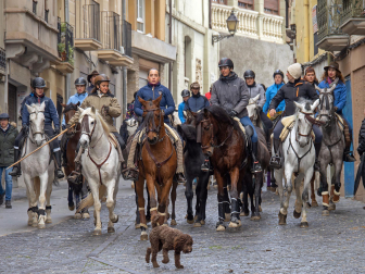 Fotos de las ferias de San Andrés de Estella.