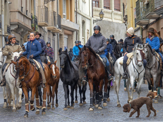 Fotos de las ferias de San Andrés de Estella.