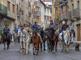 Fotos de las ferias de San Andrés de Estella.
