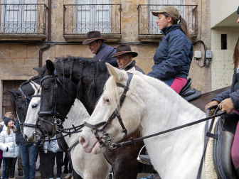 Fotos de las ferias de San Andrés de Estella.