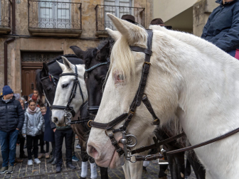 Fotos de las ferias de San Andrés de Estella.