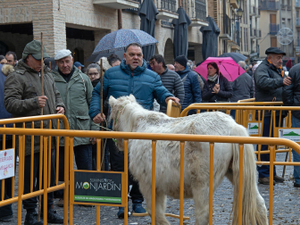 Fotos de las ferias de San Andrés de Estella.