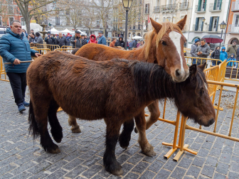 Fotos de las ferias de San Andrés de Estella.