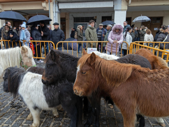 Fotos de las ferias de San Andrés de Estella.